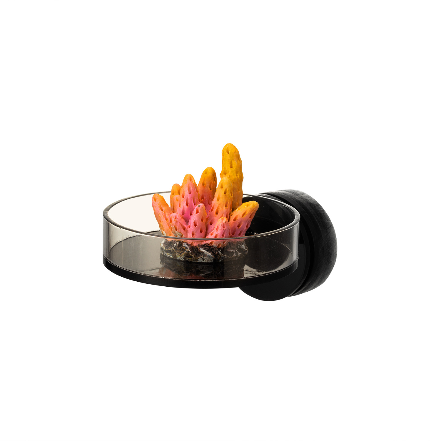 Marine Coral - Marine Sources 70mm Black Magnetic Coral