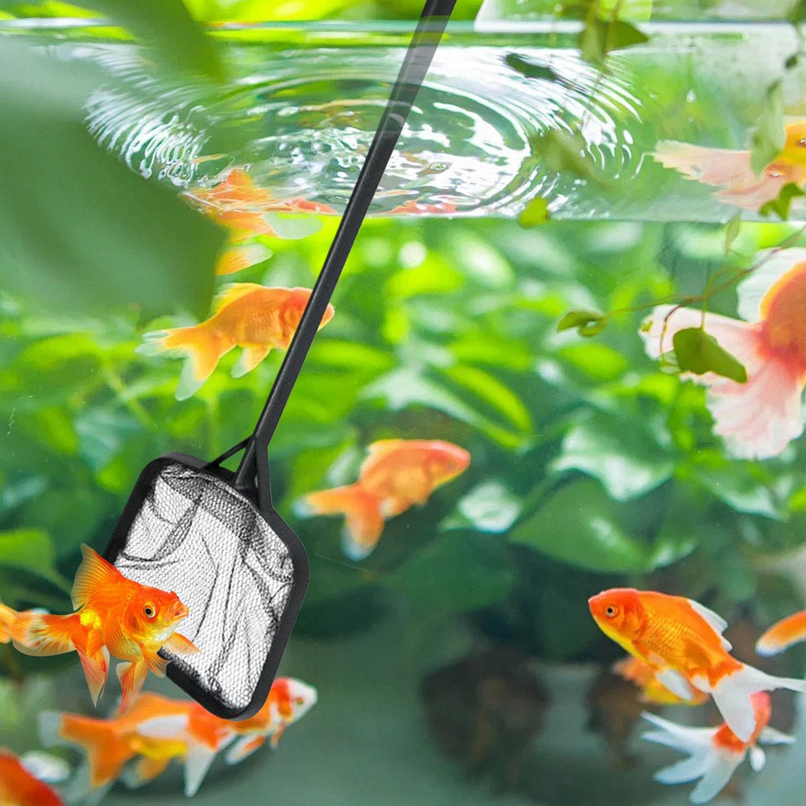 Pool Nets for Cleaning Portabl - Ocean Aquarium 评论和价格