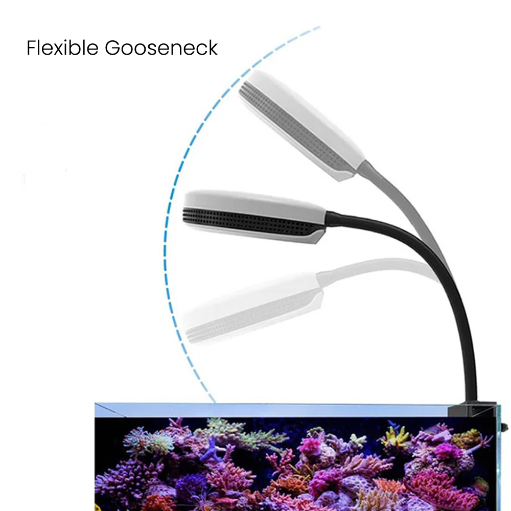 Spectra SP20 20W Aquarium LED  - Reef Lighting 评论和价格
