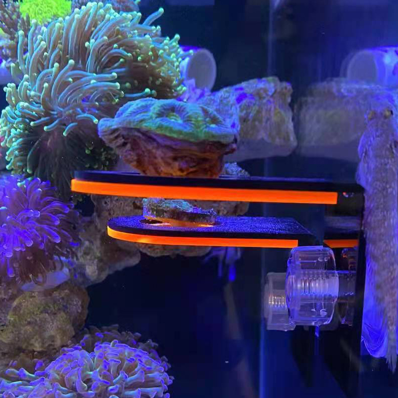 Aquarium Acrylic Fluorescent C - Marine Coral 评论和价格
