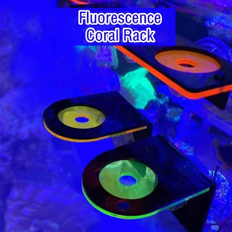 Aquarium Acrylic Fluorescent C - Marine Coral 评论和价格