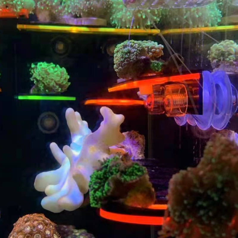 Aquarium Acrylic Fluorescent C - Marine Coral 评论和价格